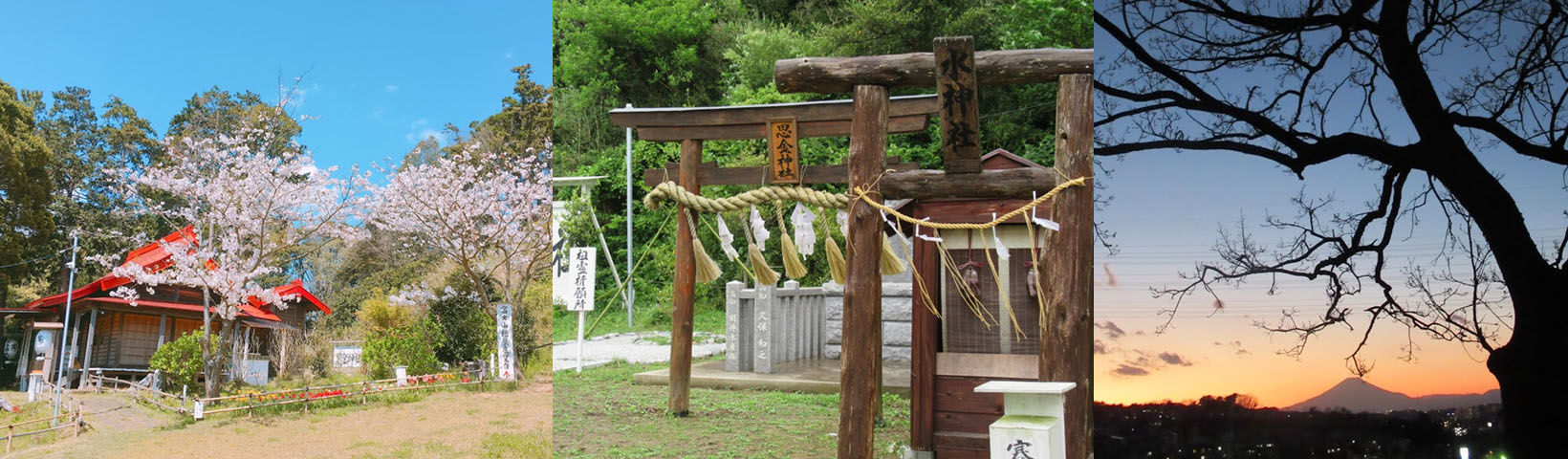 思金神社本殿写真